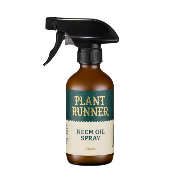 The Plant Runner Neem Oil Leaf Shine 245mL