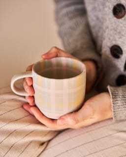 Robert Gordon Hand-Painted Mug with pastel gingham design held by person in cozy sweater
