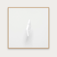 White Noise Print, Square — oak framed