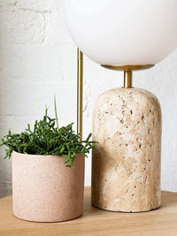 Soren Desk Lamp with unique travertine base, frosted glass shade, and brass details on wooden surface next to small potted plant