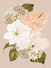 Adele Naidoo Prints Adele Naidoo Limited Edition Fine Art Canvas Print - Flora, Hydrangea (7808054296825)