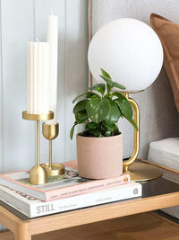 Black Blaze Candle Holders Black Blaze Fountain Brass Candle Holder - Large (6202933510332)