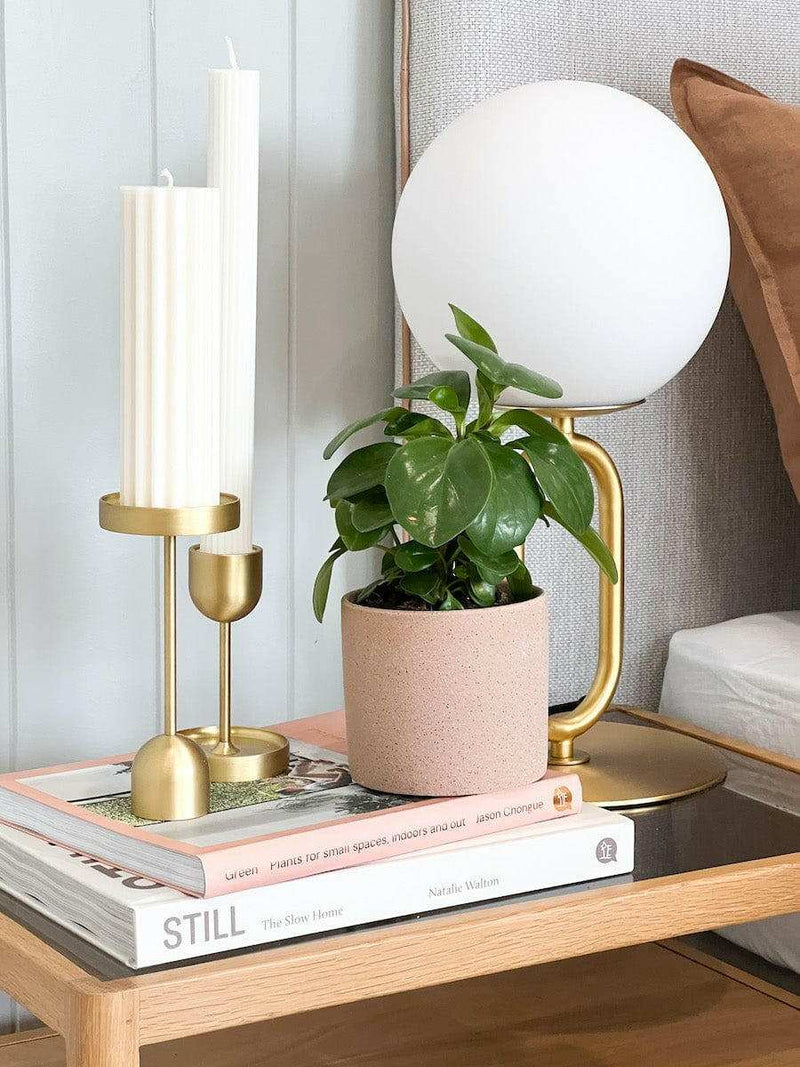 Black Blaze Candle Holders Black Blaze Fountain Brass Candle Holder - Medium (6202929774780)