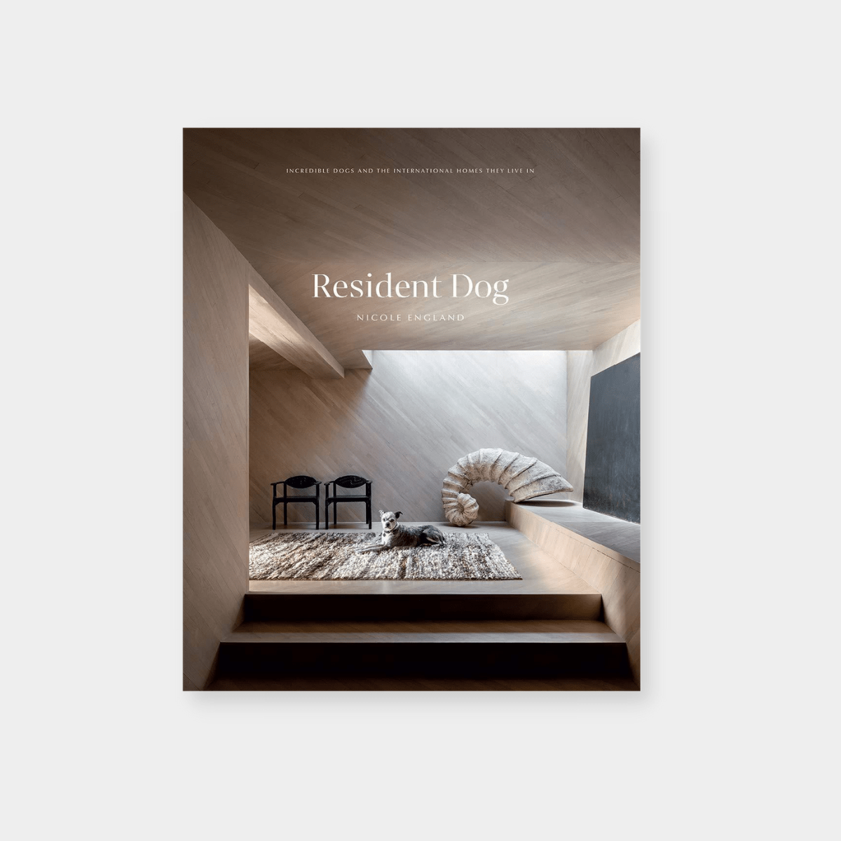 Resident Dog book cover by Nicole England featuring a dog in a modern architectural interior