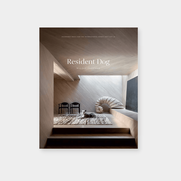 Resident Dog book cover by Nicole England featuring a dog in a modern architectural interior