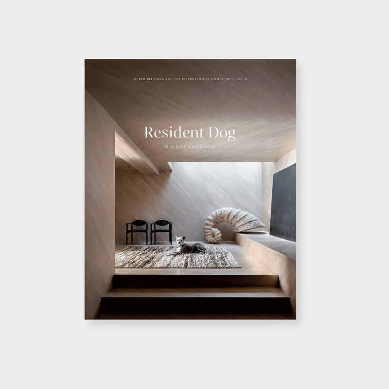 Resident Dog book cover by Nicole England featuring a dog in a modern architectural interior