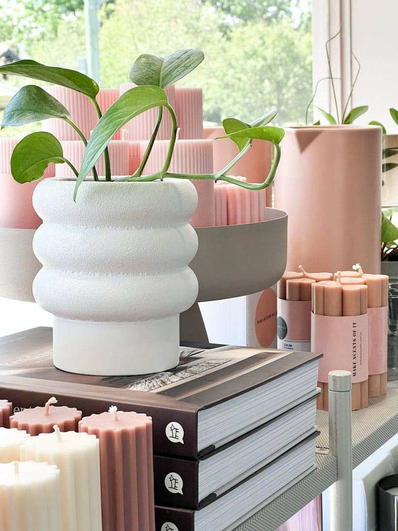 White porcelain Alder Pot with bubbly textured finish holding a green plant on stacked books