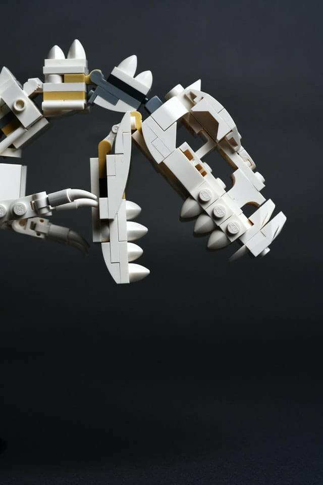 norsu interiors Prints Dino Print - Various sizes (7688249442553)