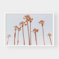 norsu interiors Prints Balmy Afternoon Print - Various sizes (7688204386553)