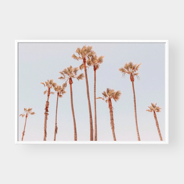 Balmy Afternoon — wall art print | Norsu Interiors
