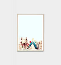 Middle of Nowhere framed print featuring a camel in traditional Bedouin dress with oak frame and glass cover.