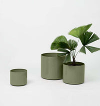 Middle of Nowhere Pots Benny Planter Olive