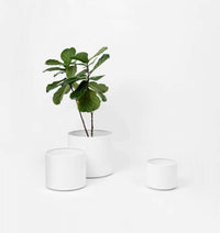 White Benny Planter set of three powder-coated stainless steel pots with drainage holes, minimalist design