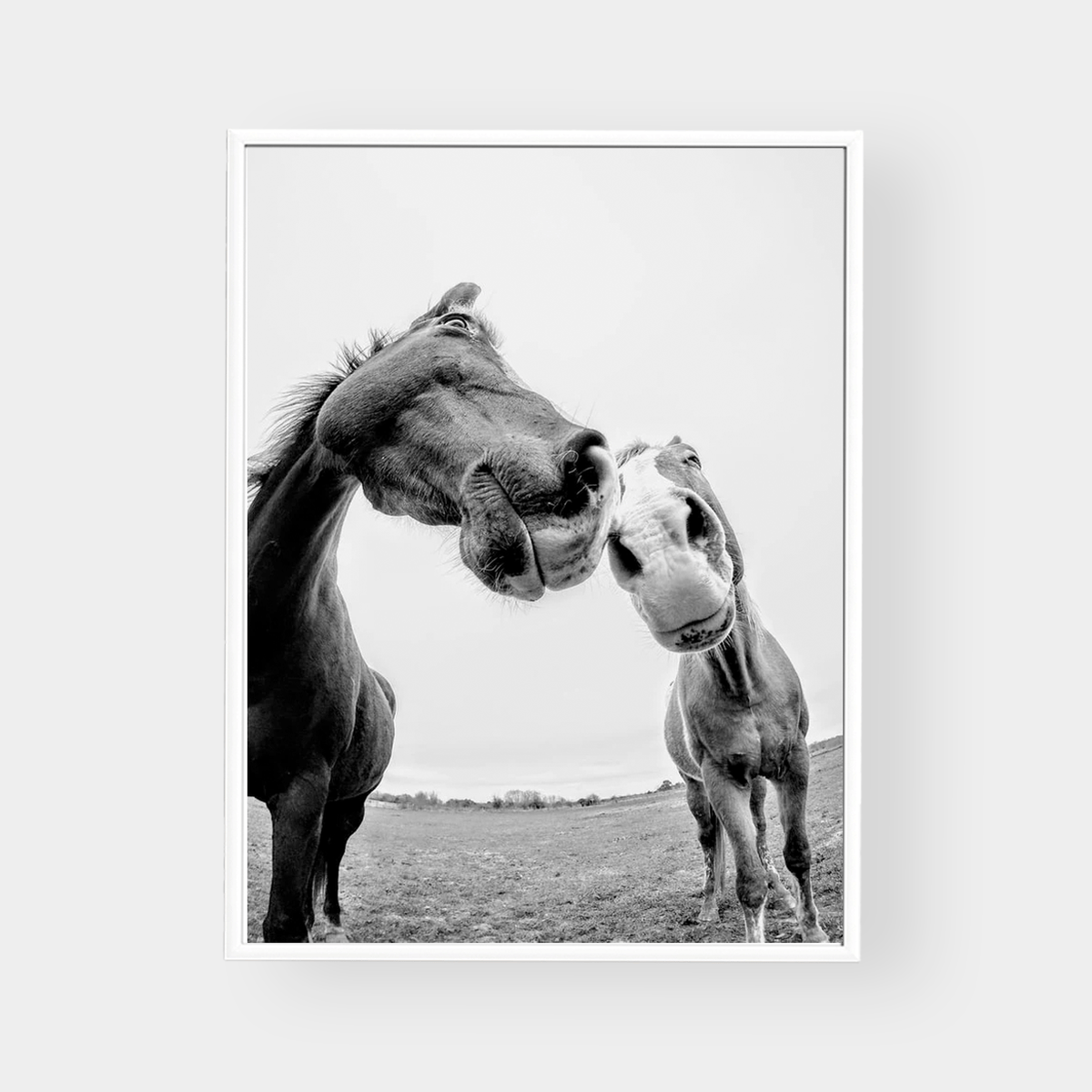 norsu interiors Prints Friendly Pair Print - Various sizes (7688277852409)