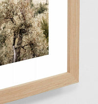 Framed Middle of Nowhere Italian Cove photographic print in oak frame displaying coastal trees