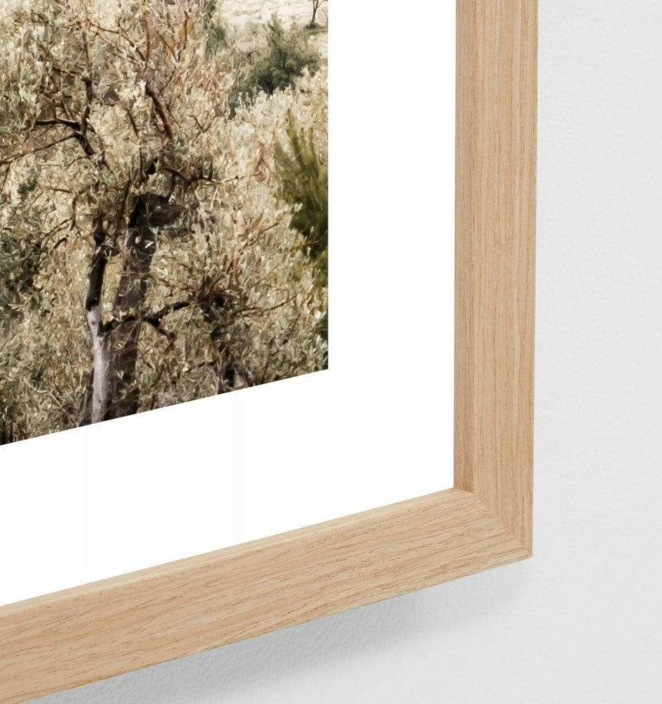 Framed Middle of Nowhere Italian Cove photographic print in oak frame displaying coastal trees