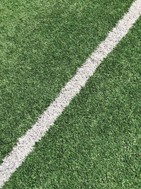 Close-up of green grass turf with a white line, wall art print available in various sizes and framed or unframed options