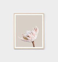 Middle of Nowhere King Protea floral portrait print framed in oak with glass against a neutral background