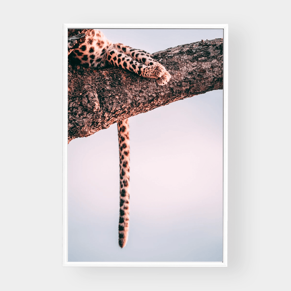 Lazy Leopard — wall art print | Norsu Interiors