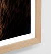 Close-up of Middle of Nowhere Llama Friends photographic print framed in oak wood with glass, modern wall art.