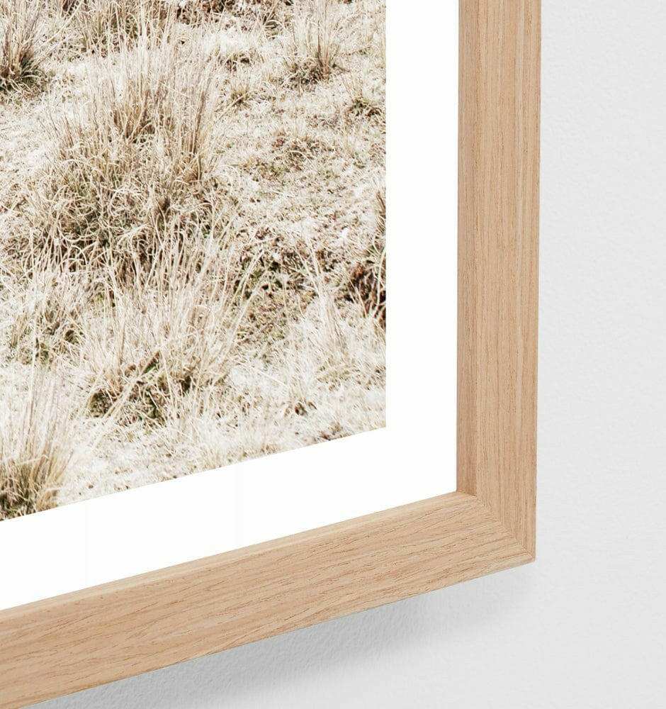 Middle of Nowhere Llama Landscape photographic print framed in oak wood