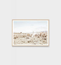 Middle of Nowhere photographic llama landscape print framed in oak for modern interiors.