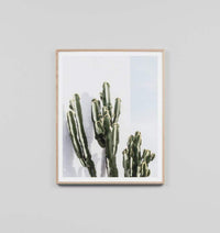Framed photographic print of green cacti against a light background titled Middle of Nowhere Cactus Resort Print