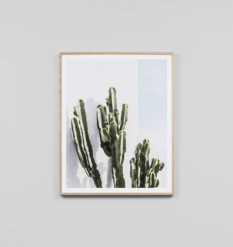Framed photographic print of green cacti against a light background titled Middle of Nowhere Cactus Resort Print