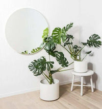 Middle of Nowhere Flynn round bright white wooden mirror with matte finish in minimalist room setting