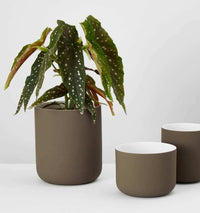 Middle of Nowhere Pots Minna Pot, Earth Medium (7564902596857)