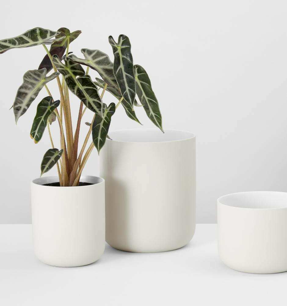 Middle of Nowhere Pots Minna Pot, Mist Small (7564913639673)