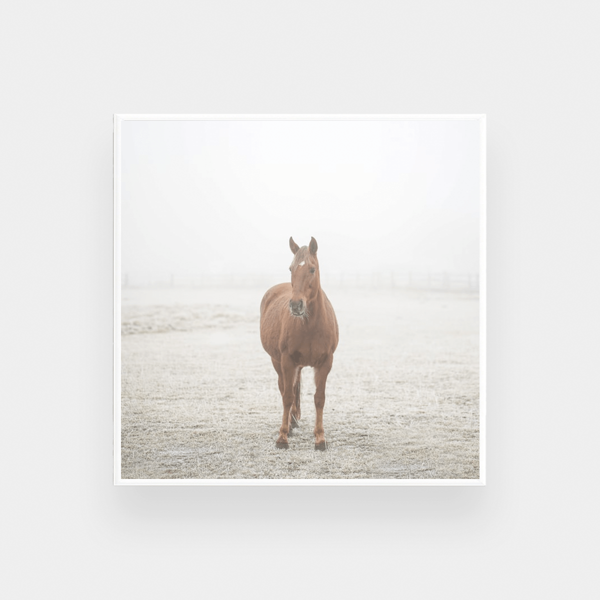 norsu interiors Prints Misty Print, Square - Various sizes (7696946954489)