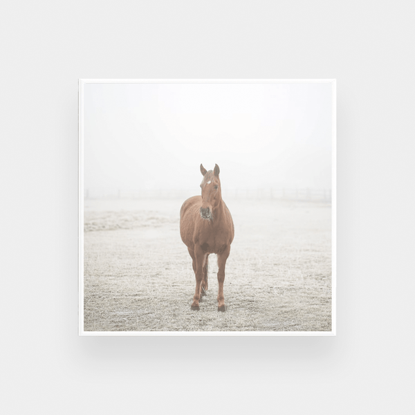 Misty, Square — wall art print | Norsu Interiors