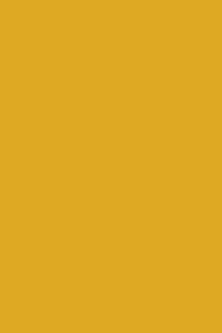 Mustard Made Locker The Shorty Mustard compact storage unit with adjustable shelves, handle, lock, and air vents in mustard color