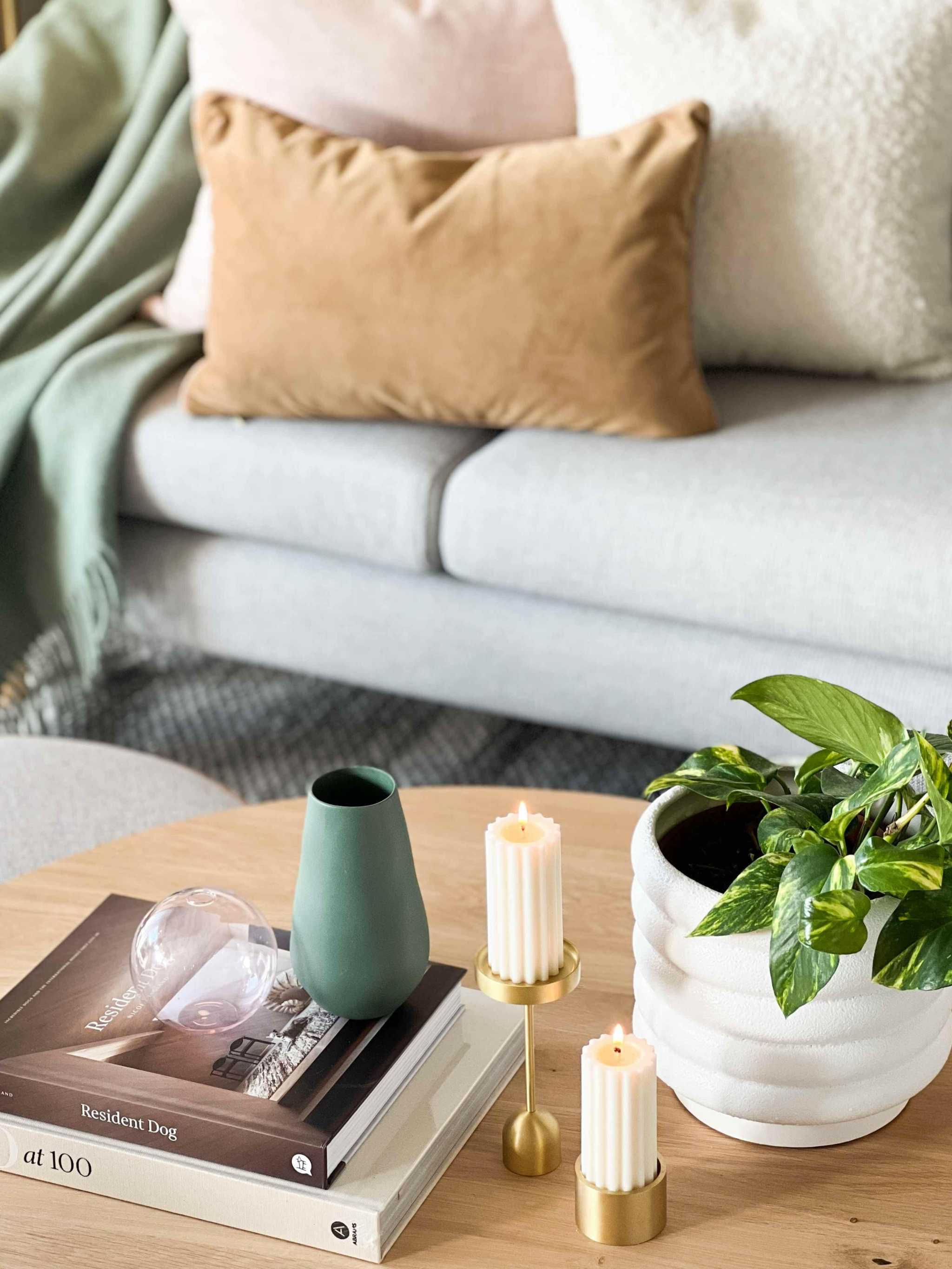 Alder Pot white porcelain planter with textured bubbly finish holding green plant on wooden table in living room setting