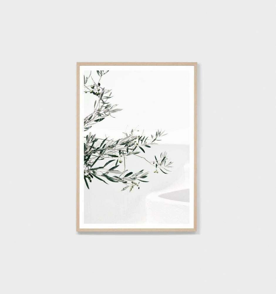Middle of Nowhere Olive Courtyard photographic print framed in oak with glass, modern minimalist wall art.