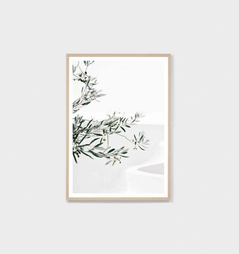 Middle of Nowhere Olive Courtyard photographic print framed in oak with glass, modern minimalist wall art.