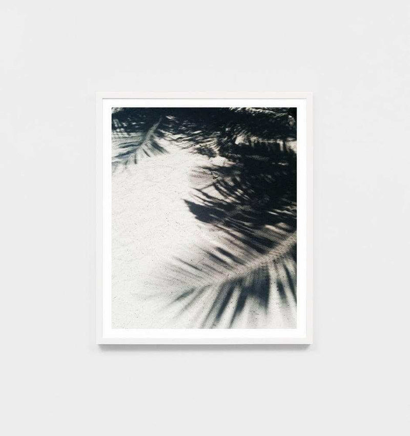 Middle of Nowhere photographic print showing palm shadows on sand framed in white.