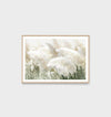 Pampas Zephyr framed photographic print with oak timber frame and glass featuring soft pampas grass imagery