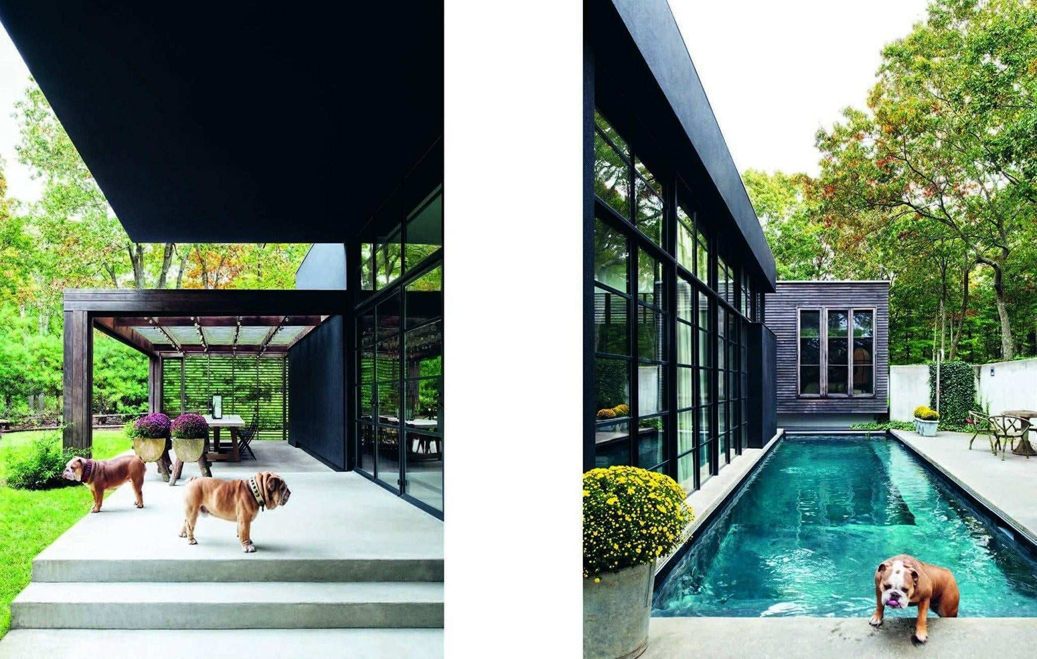 Modern house exterior with two dogs near patio and swimming pool in Resident Dog photography by Nicole England