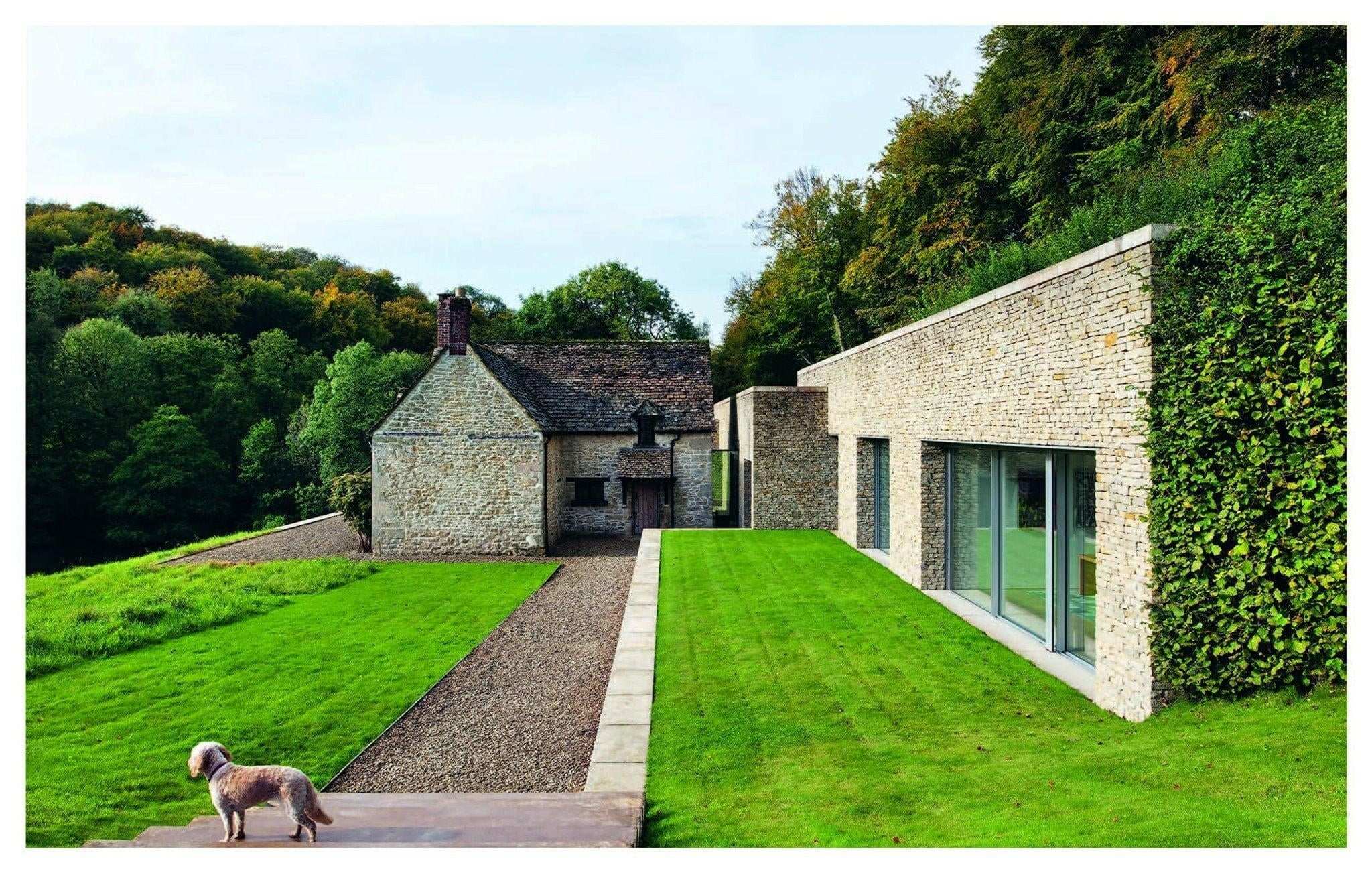 Modern stone house with green lawn and a small dog standing on a pathway Resident Dog