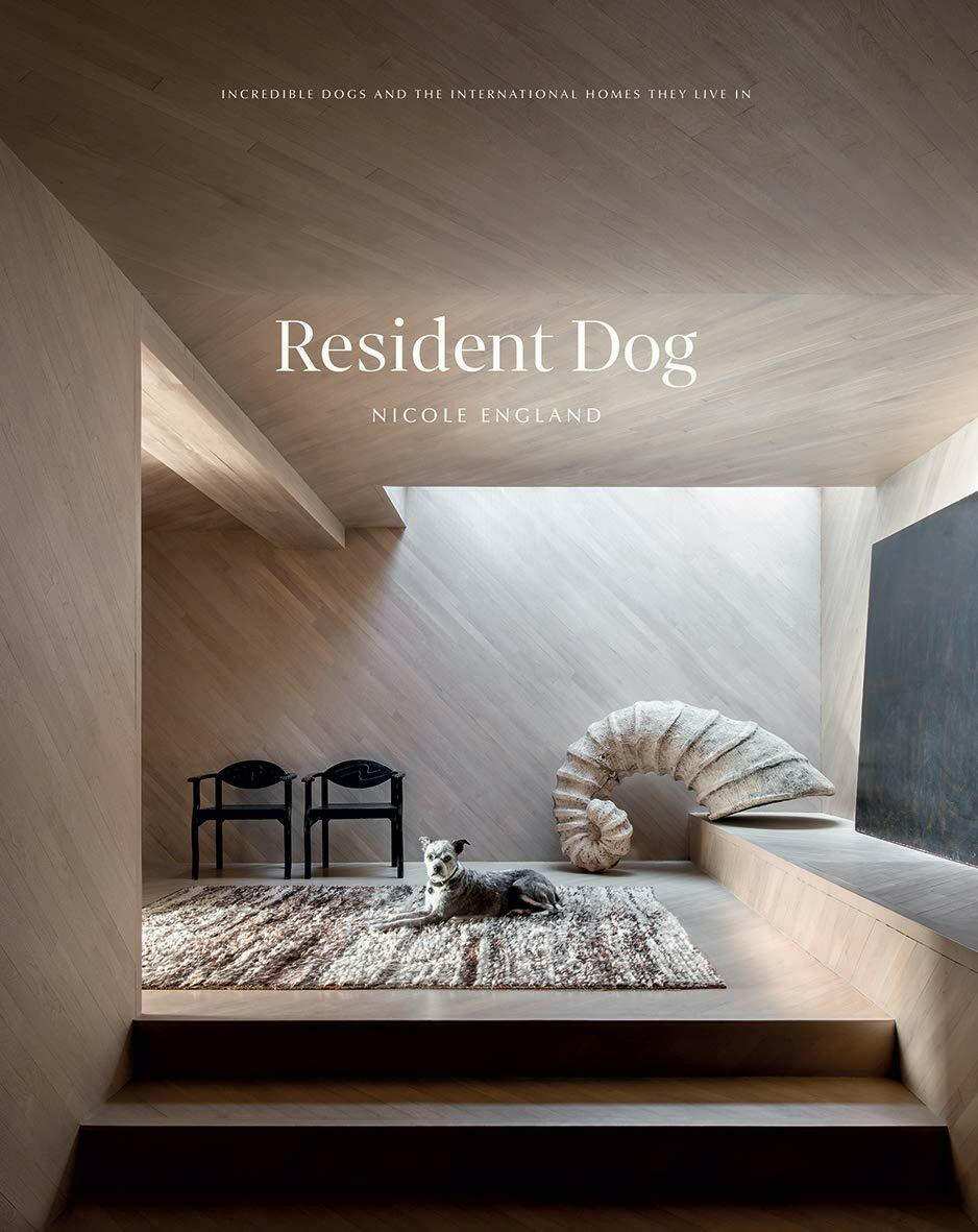 Resident Dog book cover featuring a modern interior with a dog lying on a rug and unique architectural sculpture by Nicole England