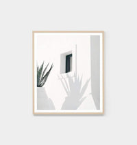 Middle of Nowhere Shadow Villa Print framed photographic art with oak frame and minimalist plant shadow design