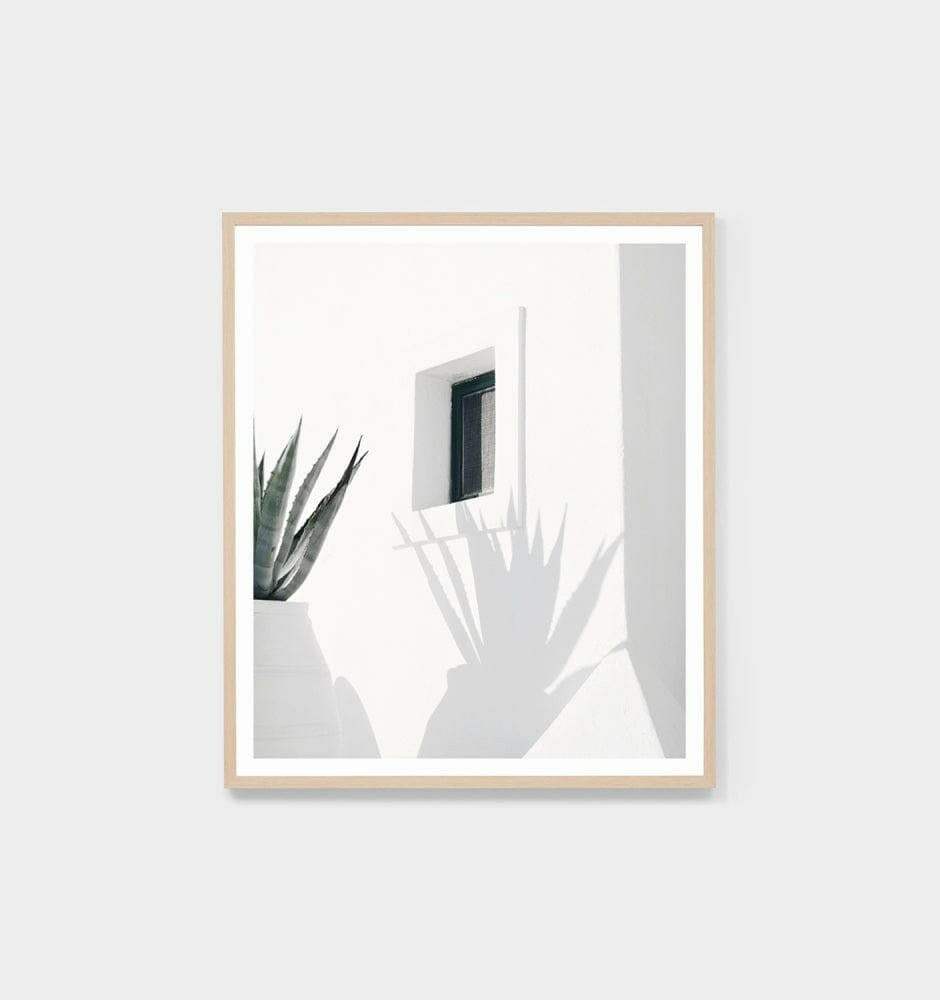 Middle of Nowhere Shadow Villa Print framed photographic art with oak frame and minimalist plant shadow design