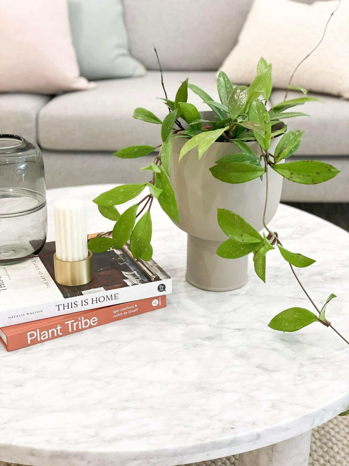 Modern styled coffee table with green plant in beige vase, candle, glass, and books in a cozy living room setting