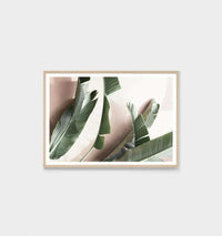 Middle of Nowhere sunbleached tropical palms framed photographic print in oak