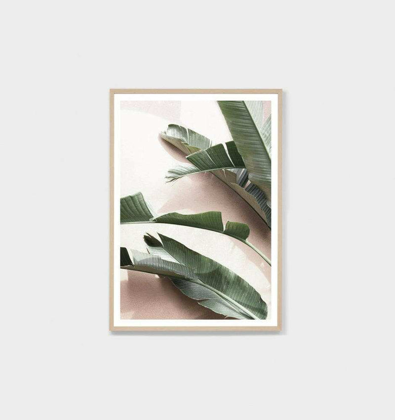 Middle of Nowhere sunbleached palms tropical photographic print framed in oak